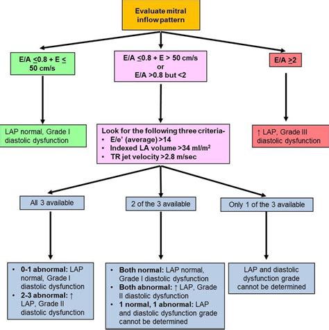 echocardiogram results interpretation|Echocardiogram (Echo) .
